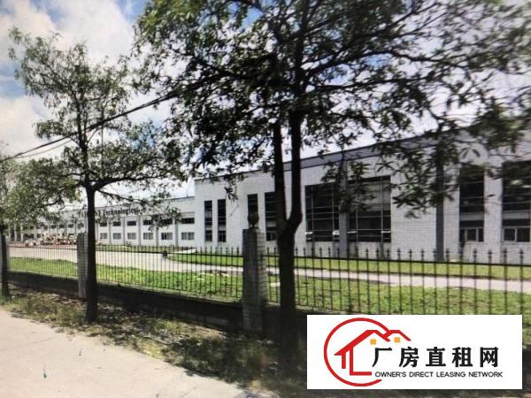  沙田镇新出原房东11800平米单一层独院招租