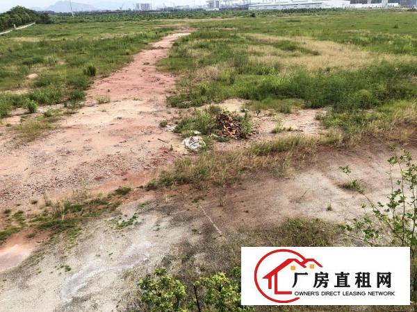  沙田镇新出单一层钢构厂房7200平米招租