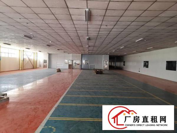  沙田大泥新出楼房独院7500平方厂房招租，形象好空地大