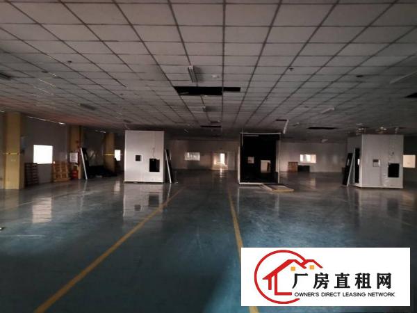  沙田大泥新出楼房独院7500平方厂房招租，形象好空地大