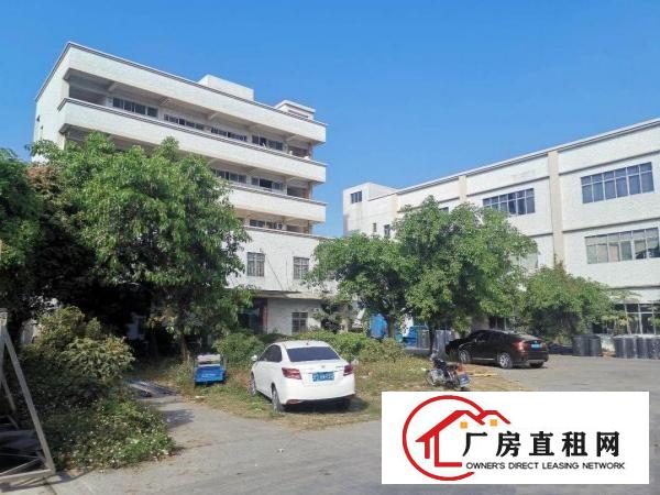  沙田大泥新出楼房独院7500平方厂房招租，形象好空地大
