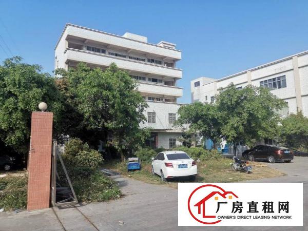  沙田大泥新出楼房独院7500平方厂房招租，形象好空地大