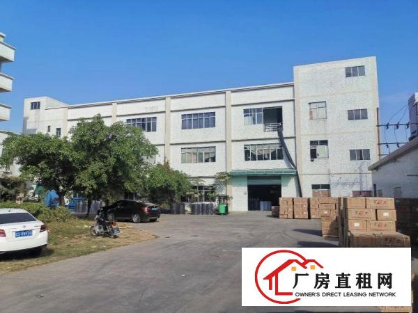  沙田大泥新出楼房独院7500平方厂房招租，形象好空地大