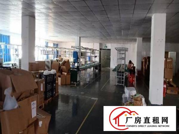  沙田镇工业区出租二楼1100平厂房有天花吊顶地坪漆消防等