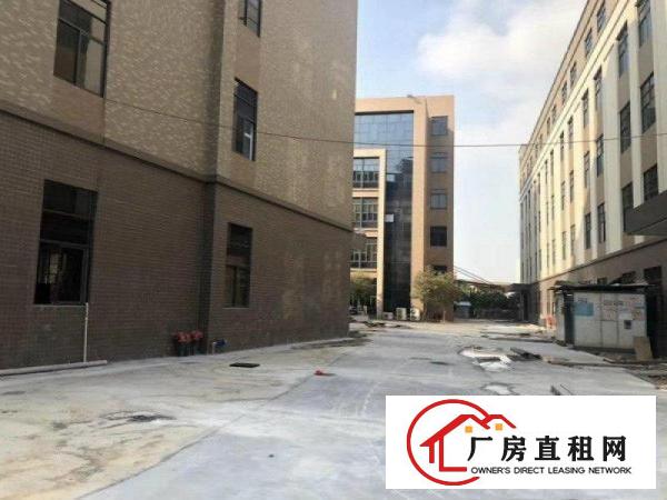  沙田原房东全新厂房招租30000平方工业用地红本可办环评