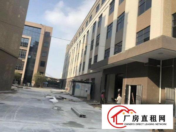  沙田原房东全新厂房招租30000平方工业用地红本可办环评