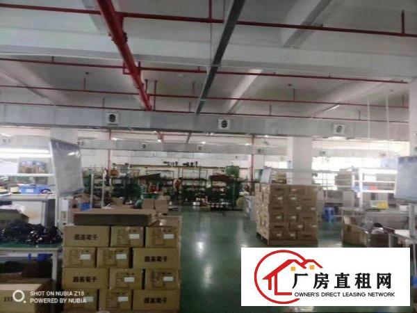  新空出独门独院四楼1000平厂房出租，租10元，空地大