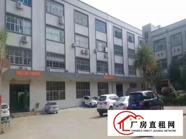  独院标准一楼2000平方，带装修地坪漆，现成办公室，水电齐全