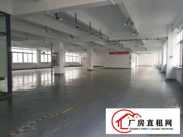  独院标准一楼2000平方，带装修地坪漆，现成办公室，水电齐全