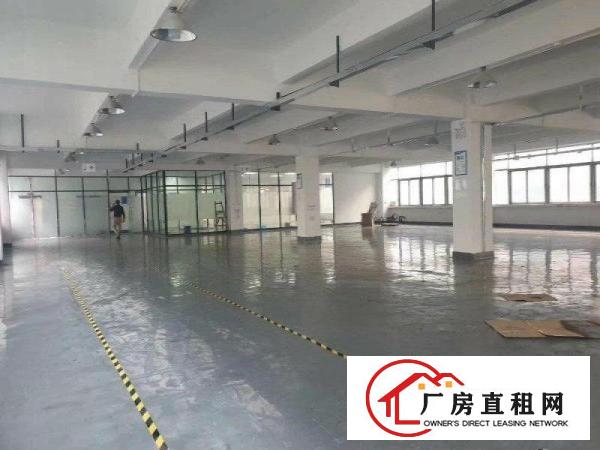  独院标准一楼2000平方，带装修地坪漆，现成办公室，水电齐全