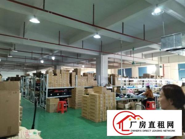  独院厂房一楼2500平带地坪漆有喷淋办公室装修空地大