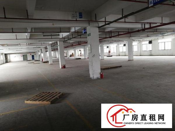  沙田新出3000方厂房甩租，位于成熟工业区，可分租