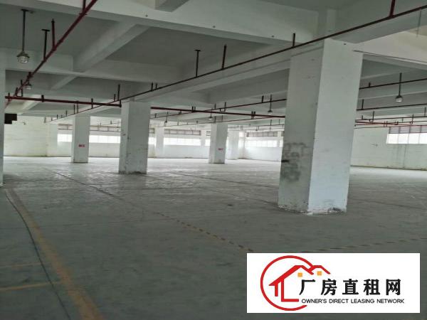  沙田新出1200方厂房甩租，房东好说话