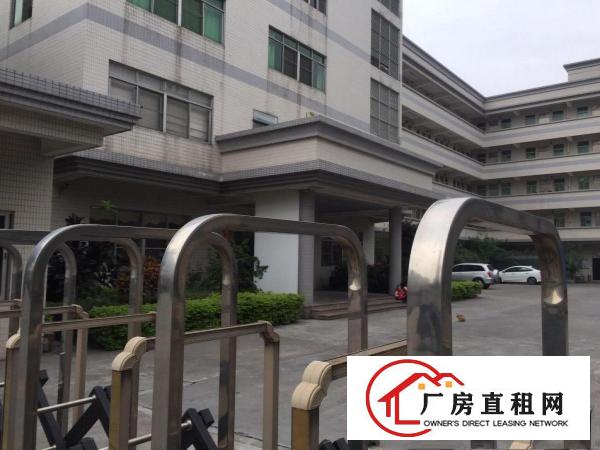  沙田镇新出独门独院6800平米火爆招租