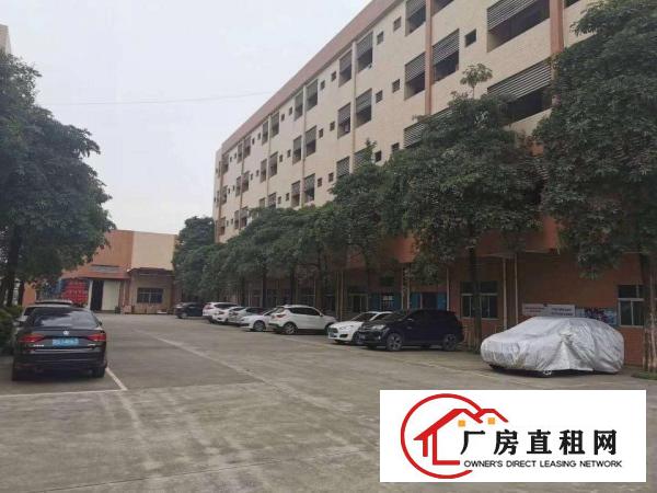  原房东带家具环评32500平方单一层9米高厂房出租配套齐全
