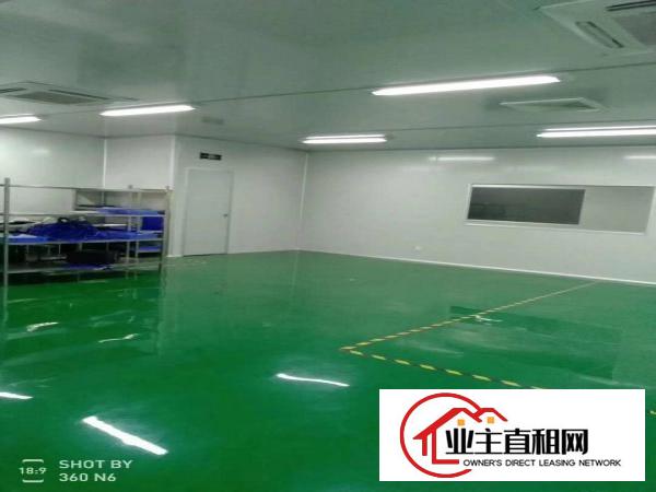  沙田大泥新建楼房2栋3万平方楼房招租