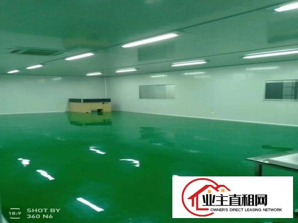  沙田大泥新建楼房2栋3万平方楼房招租