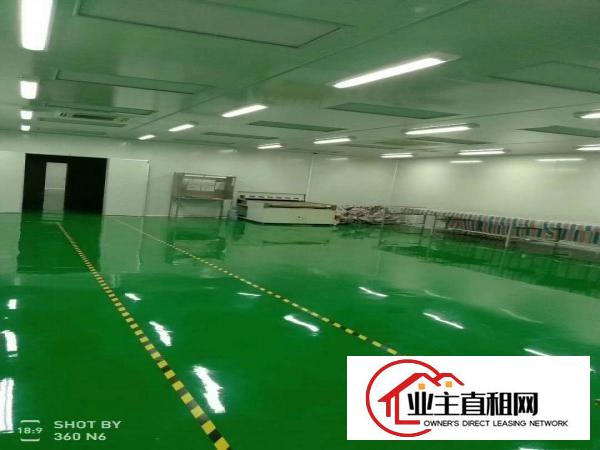  沙田大泥新建楼房2栋3万平方楼房招租