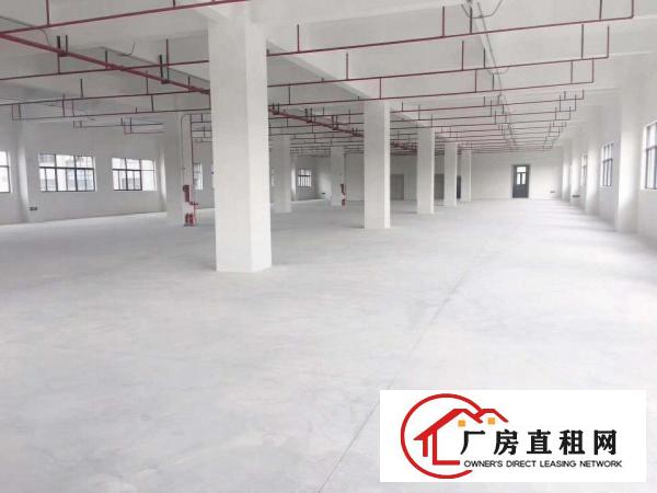  厚街原房东独门独院厂房招租