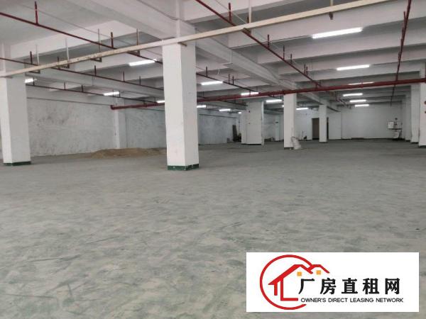  厚街镇带热蒸汽园区厂房