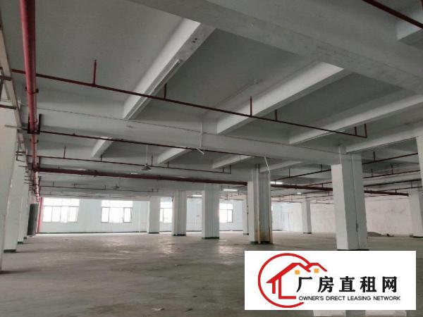  厚街镇带热蒸汽园区厂房