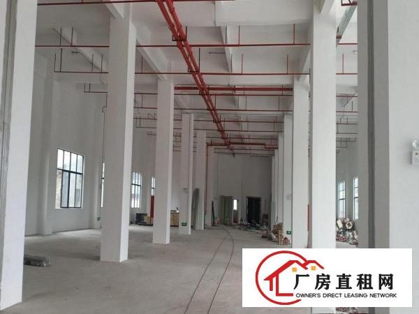  厚街镇白濠全新工业厂房3000平方出租，可办环评大小可分租