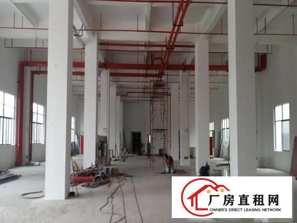  厚街镇白濠全新工业厂房3000平方出租，可办环评大小可分租