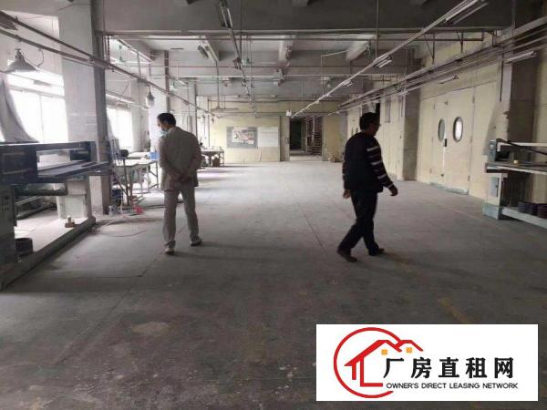  出租厚街镇厚街镇府面积100平到几万平各种各样都有哦