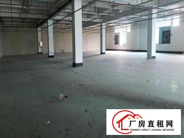  厚街镇厂房出租带环评空地大