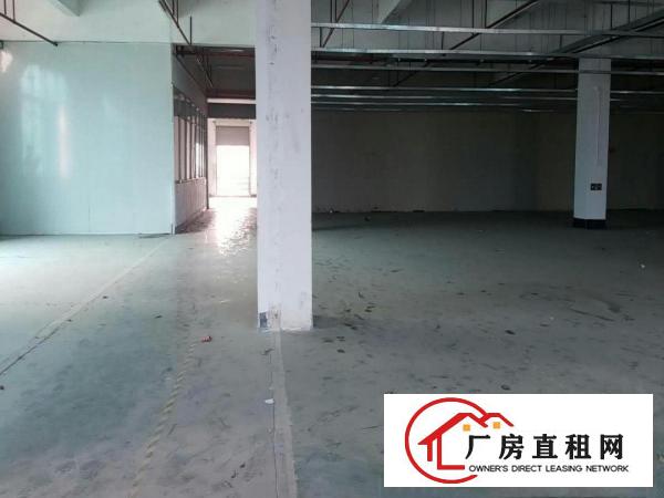  厚街镇厂房出租带环评空地大