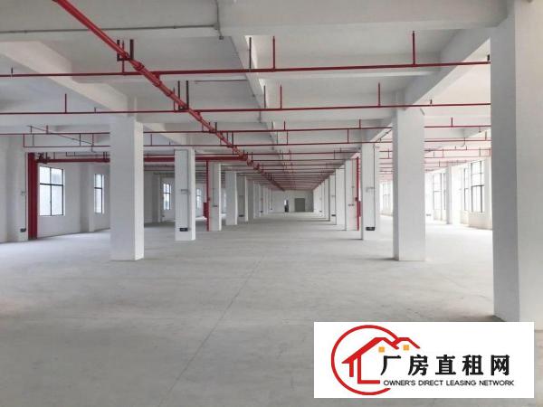  楼上精装修出租水电齐全