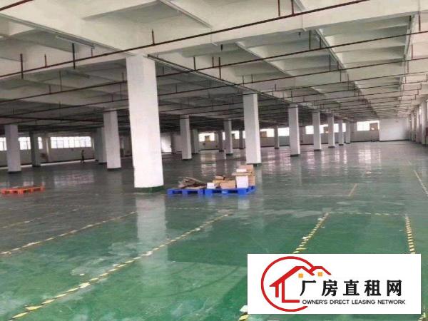  单一层独门独院厂房仓库