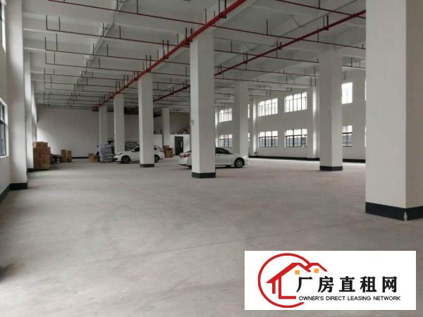  单一层独门独院厂房仓库