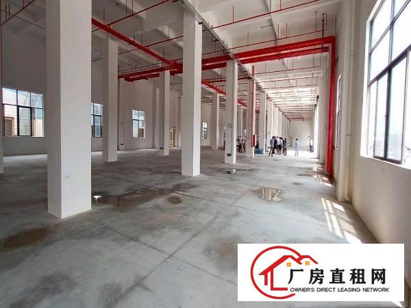  厚街新建全新独院厂房共8层