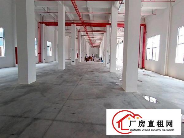  厚街新建全新独院厂房共8层