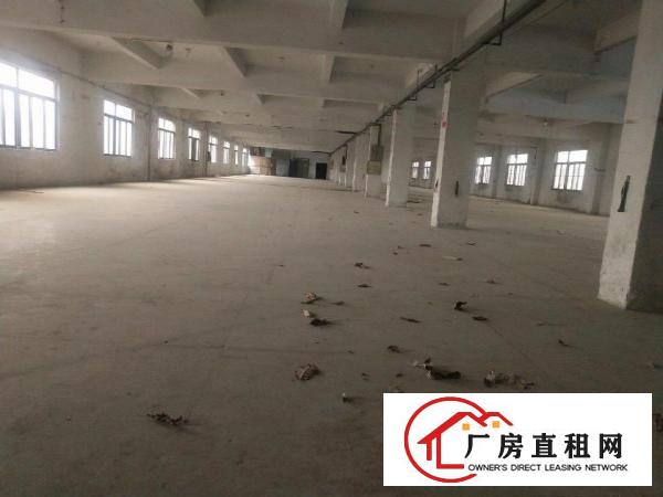  独院工业标准厂房、大小分租、可办环评
