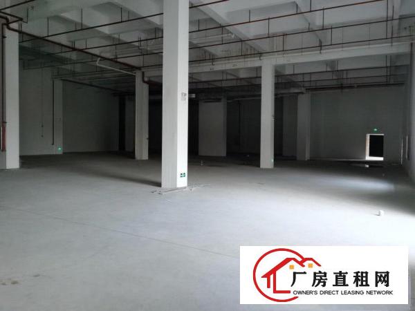  出租物流园整二层13500平方适合，加工，生产企业进驻
