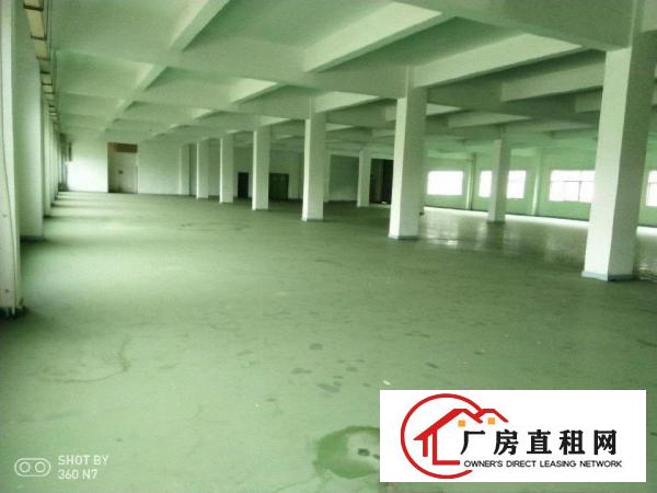  厚街镇独门独院厂房出租，厂房带鞋材环评