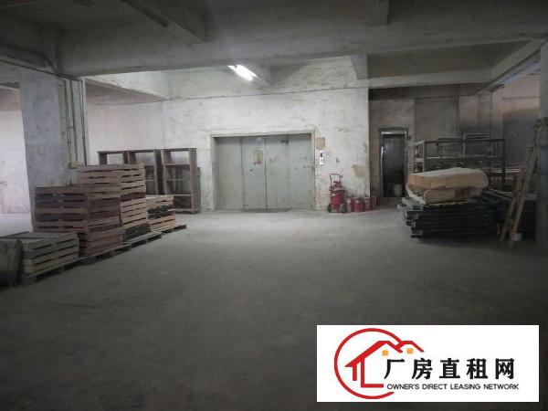  原房东出租，带油漆环评，方正实用，无分摊