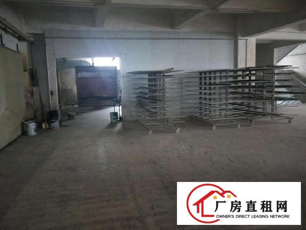  原房东出租，带油漆环评，方正实用，无分摊