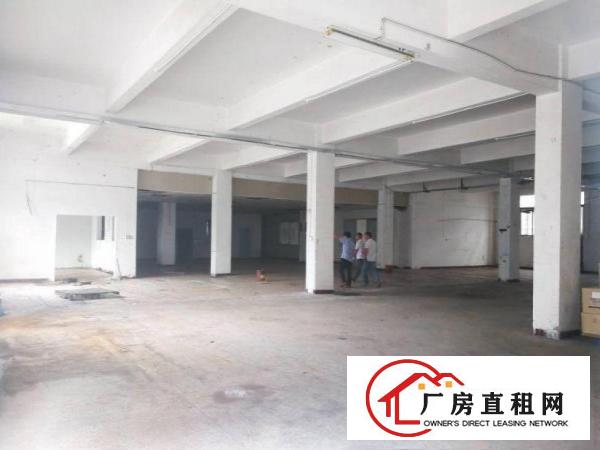 赤岭工业区厂房一楼实际面积分租1350平