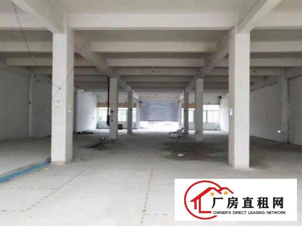  赤岭工业区标准厂房一楼800平方出租