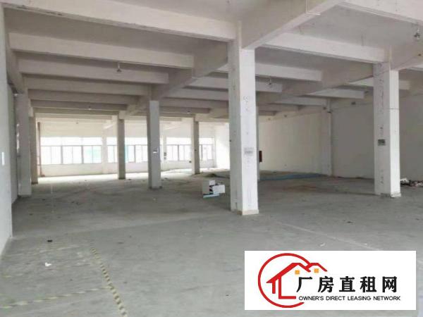  赤岭工业区标准厂房一楼800平方出租