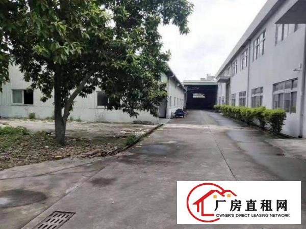  寮厦工业区新出独院1550平方独院钢构厂房滴水7米，空地大
