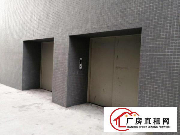  楼上全新整层厂房出租
