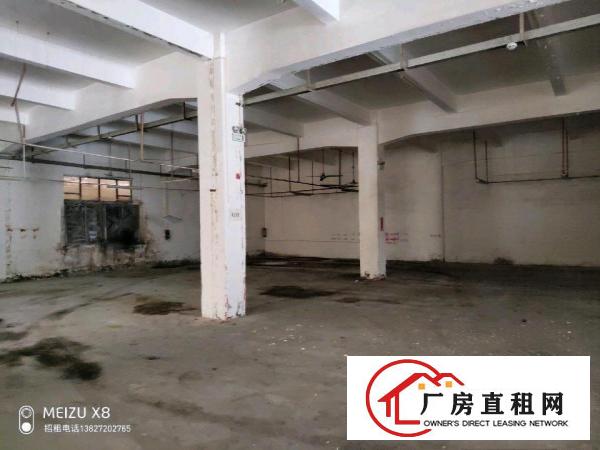  厚街三屯标准一楼实际面积2000平厂房