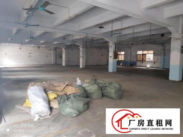  厚街三屯标准一楼实际面积2000平厂房