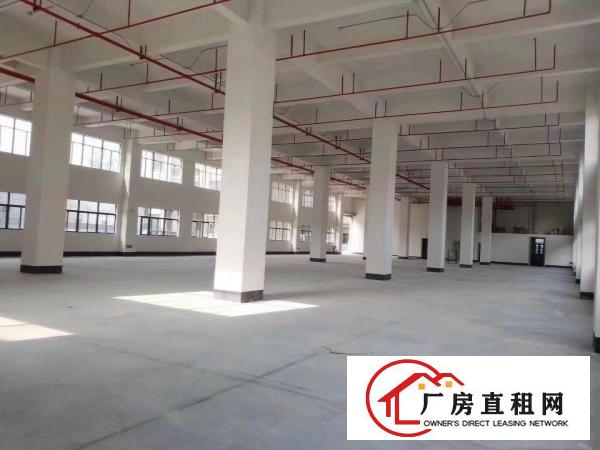  出租厚街镇康乐南有各种面积各种价格的厂房非常漂亮