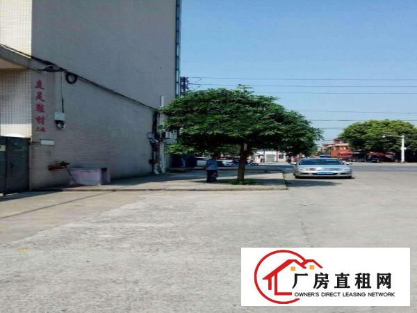  出租厚街赤岭租厚街汀山厚街大量各类厂房一楼厂房仓库出租