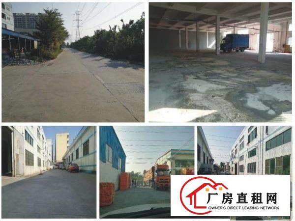  出租厚街白濠万江石美厂房,花园式独院对外招租